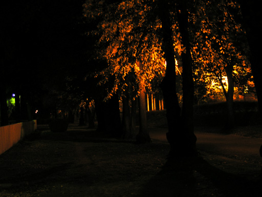 "&Ouml;inen puistotie (C) Samu Kahila"